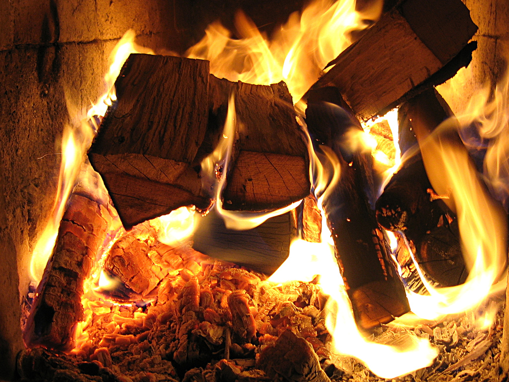 Is Burning Wood for Heat Really Green?